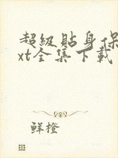 超级贴身保镖txt全集下载