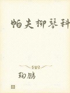 帕夫柳琴科二世