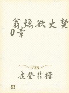 翁熄欲火焚身50章