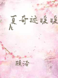 夏奇迹暖暖快穿h