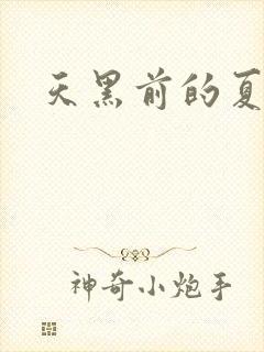 天黑前的夏天