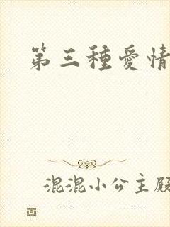 第三种爱情续集