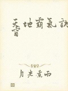 天地霸气诀无弹窗