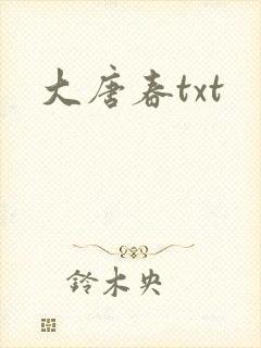 大唐春txt