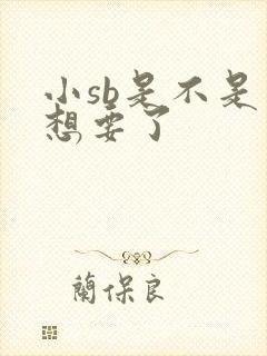 小sb是不是又想要了