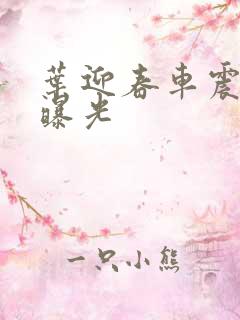 叶迎春车震照片曝光