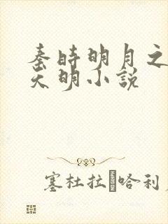 秦时明月之夜尽天明小说