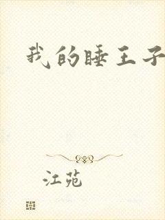 我的睡王子殿下
