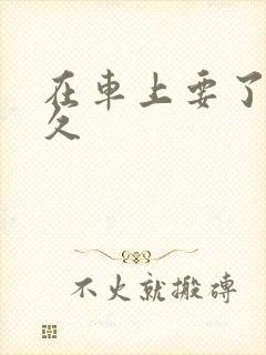 在车上要了我很久