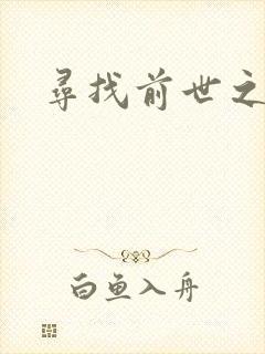 寻找前世之旅续