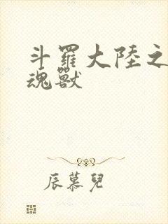 斗罗大陆之最强魂兽