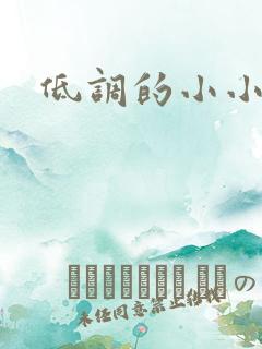 低调的小小宫女