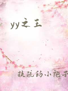 yy之王