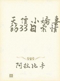 天价小娇妻总裁的33日索情