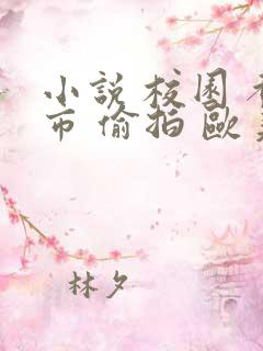 小说 校园 都市 偷拍 欧美