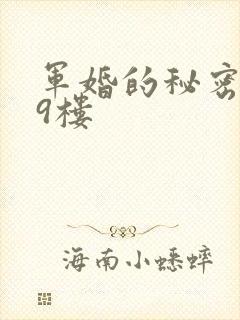 军婚的秘密 19楼