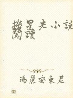 捞星光小说免费阅读