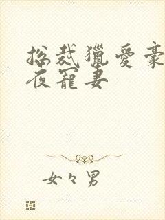 总裁猎爱豪门一夜宠妻