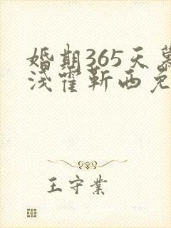 婚期365天慕浅霍靳西免费阅读
