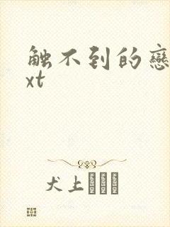 触不到的恋人txt