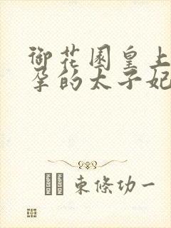 御花园皇上C有孕的太子妃