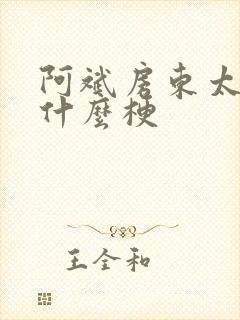 阿斌房东太太是什么梗