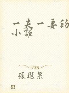 一夫一妻的玄幻小说