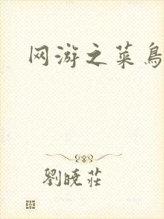 网游之菜鸟