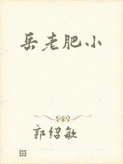 岳老肥小