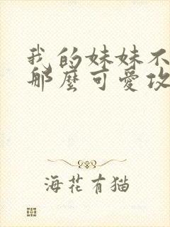 我的妹妹不可能那么可爱攻略