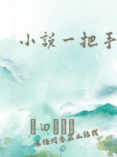 小说一把手