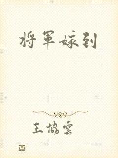 将军嫁到