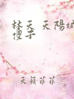 林天 天阳城 傻子