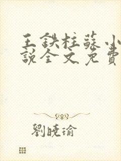 王铁柱苏小汐小说全文免费阅读最新章节