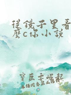 从镜子里看我怎么c你小说