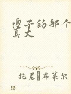 傻子的那个东西真大