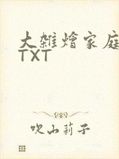 大杂烩家庭小说TXT