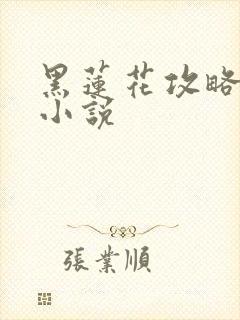 黑莲花攻略手册小说