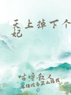 天上掉下个奇王妃