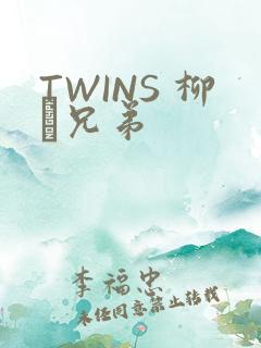 TWINS 柳澤兄弟