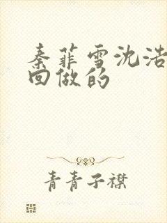 秦菲雪沈浩第几回做的