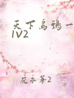 天下乌鸦一般黑1V2