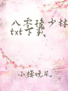 八零后少林方丈txt下载