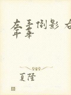 左手倒影 右手年华