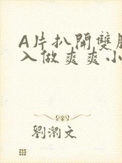 A片扒开双腿进入做爽爽小说