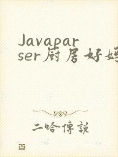 Javaparser厨房好妈妈