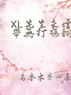 XL先生未增删带无打码翻译