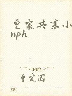 皇家共享小公主nph