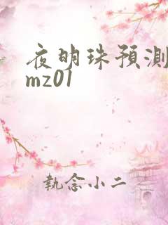 夜明珠预测 ymz01