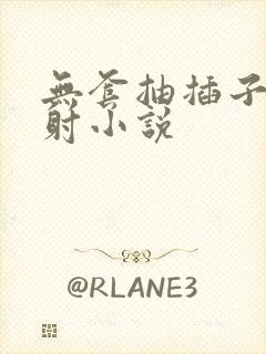 无套抽插子宫内射小说